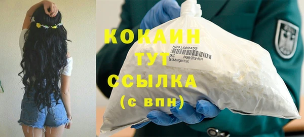 мдпв Осинники