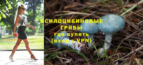 гашиш Осташков