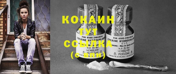 PSILOCYBIN Остров