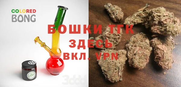 мдпв Осинники