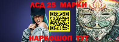 шишки Аргун
