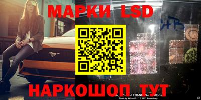 шишки Аргун