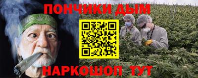 шишки Аргун