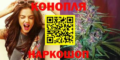 шишки Аргун