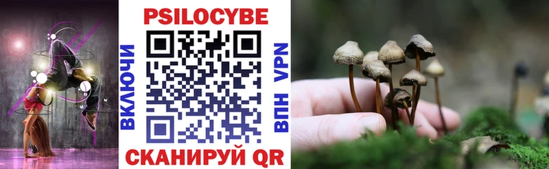 Галлюциногенные грибы Cubensis  hydra ссылки  Великий Устюг 
