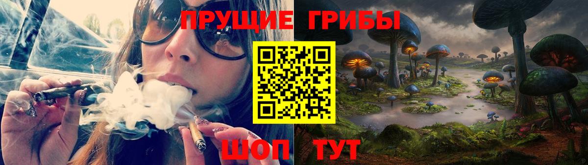 Великий Устюг  Галлюциногенные грибы Cubensis  Вход с VPN 
