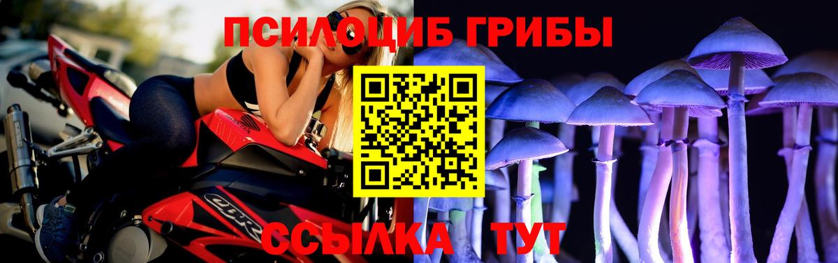 Псилоцибиновые грибы GOLDEN TEACHER Великий Устюг