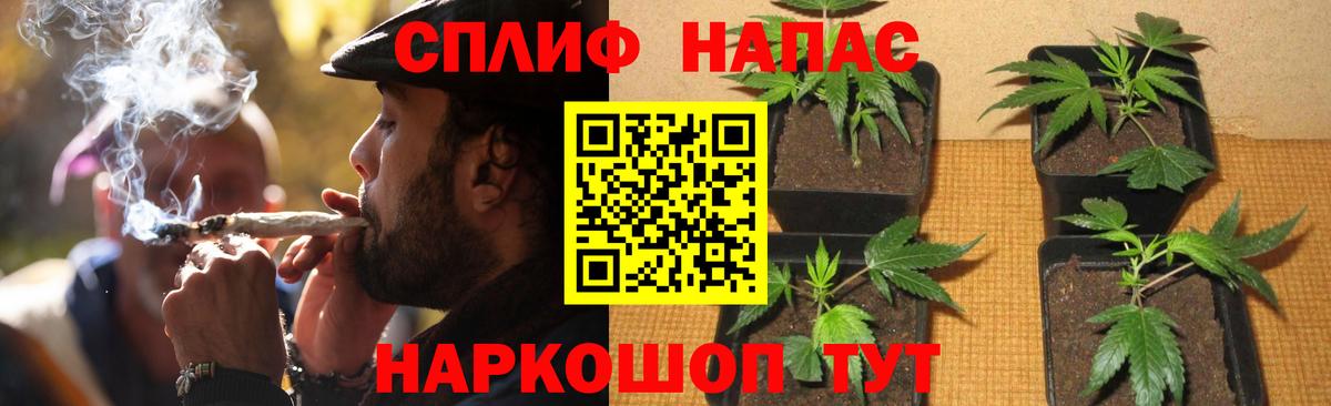 Шишки марихуана планчик  Шишки марихуана марихуана  Бошки марихуана AK-47  Каннабис White Widow  Великий Устюг 